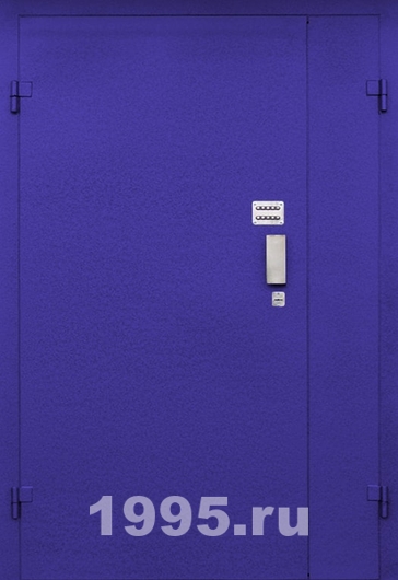 Тамбурная дверь с нитроэмалью